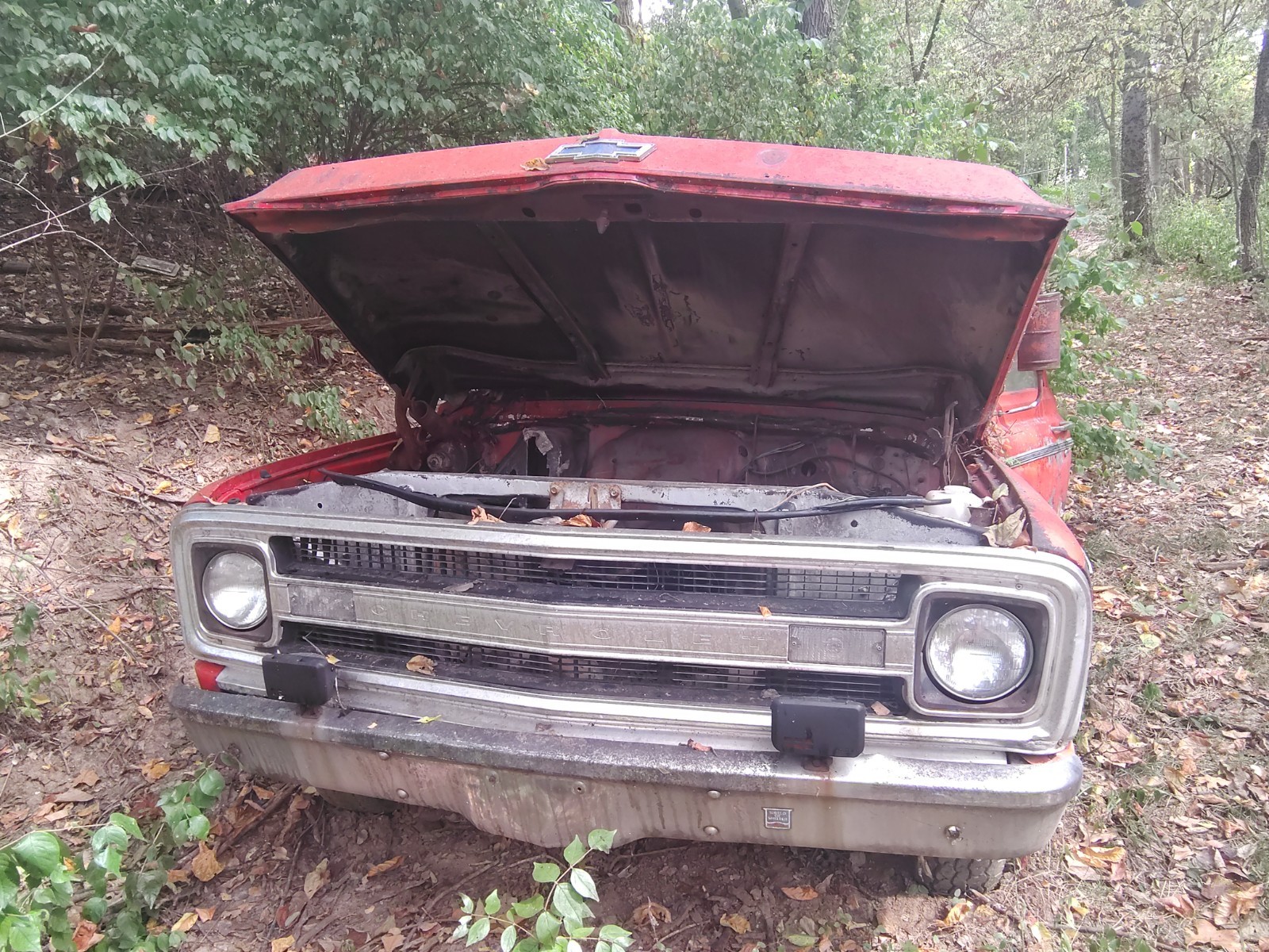 Chevrolet-Other-Pickups-1967-5