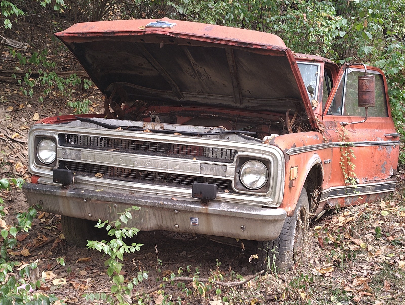 Chevrolet-Other-Pickups-1967-6