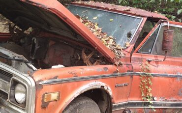 Chevrolet-Other-Pickups-1967-7