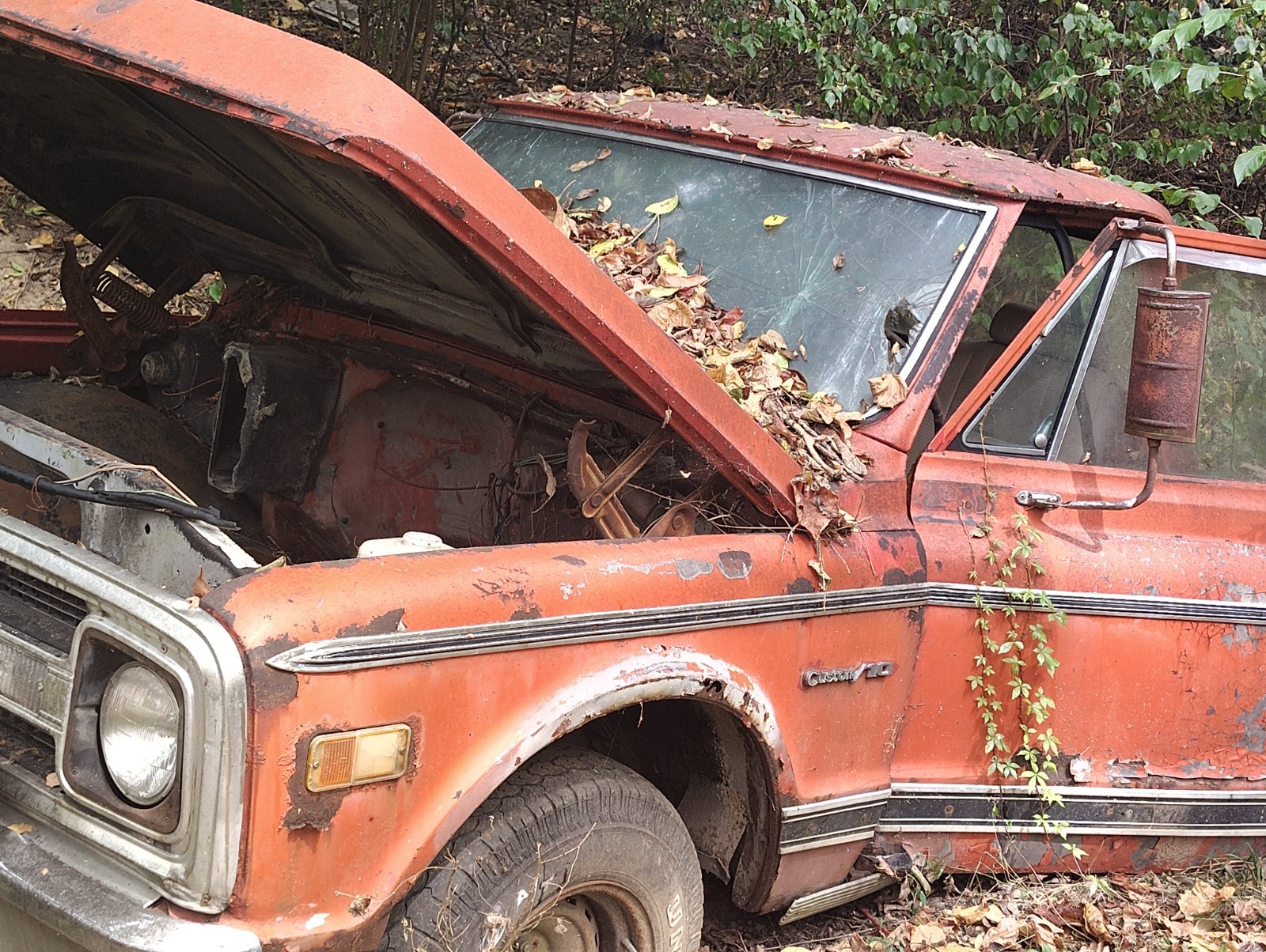 Chevrolet-Other-Pickups-1967-7