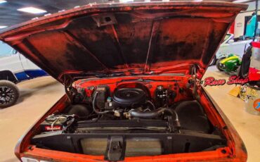 Chevrolet-Other-Pickups-1967-Pickup-Truck-20