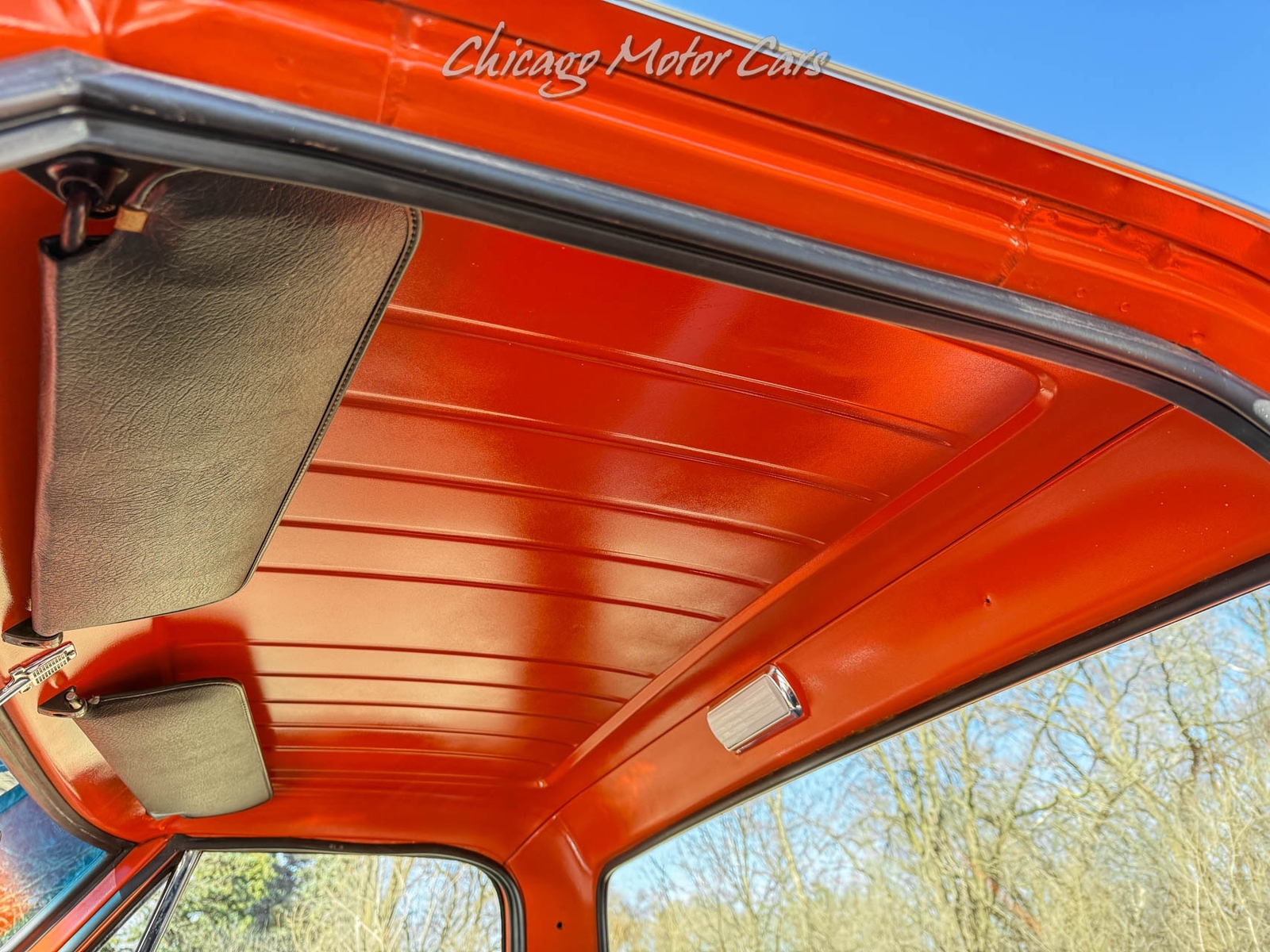 Chevrolet-Other-Pickups-1969-Pick-Up-13