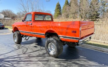 Chevrolet-Other-Pickups-1969-Pick-Up-2