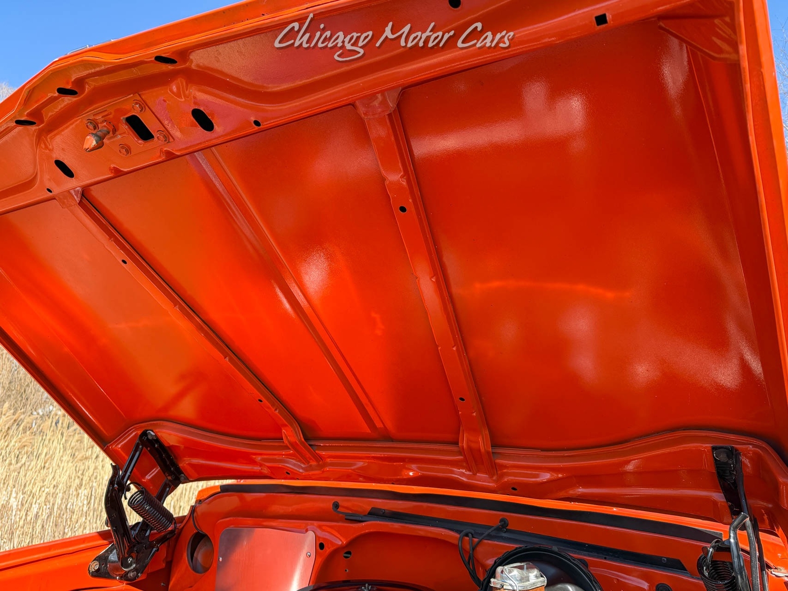 Chevrolet-Other-Pickups-1969-Pick-Up-30