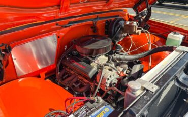 Chevrolet-Other-Pickups-1969-Pick-Up-33