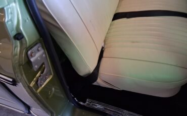 Chevrolet-Other-Pickups-1970-Pickup-Truck-11