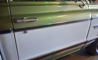 Chevrolet-Other-Pickups-1970-Pickup-Truck-14
