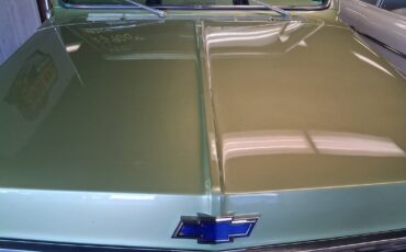 Chevrolet-Other-Pickups-1970-Pickup-Truck-23
