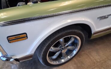 Chevrolet-Other-Pickups-1970-Pickup-Truck-7