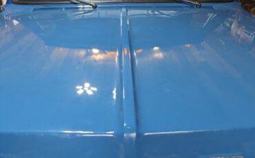 Chevrolet-Other-Pickups-1971-Standard-Cab-Pickup-14