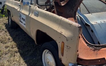 Chevrolet-Other-Pickups-1978-1