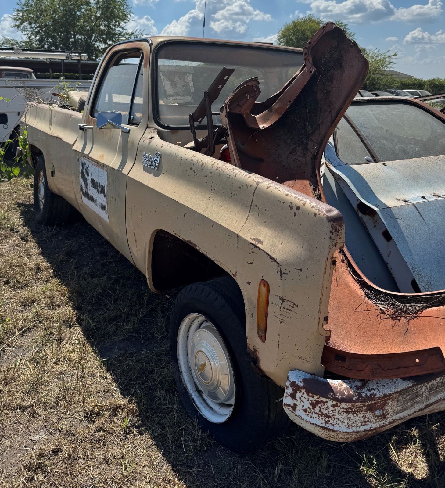 Chevrolet-Other-Pickups-1978-1