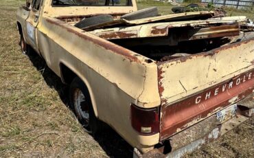 Chevrolet-Other-Pickups-1978-3