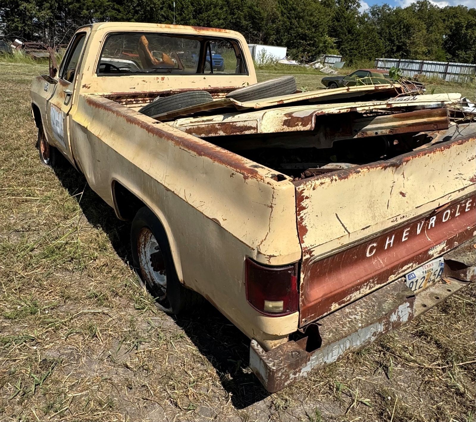 Chevrolet-Other-Pickups-1978-3