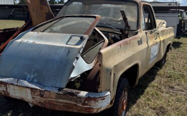 Chevrolet-Other-Pickups-1978