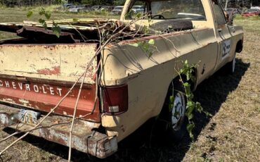 Chevrolet-Other-Pickups-1978-4