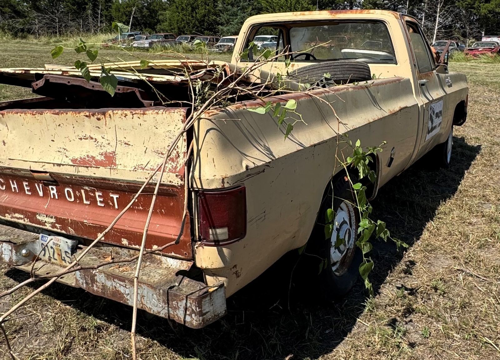 Chevrolet-Other-Pickups-1978-4