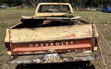 Chevrolet-Other-Pickups-1978-5