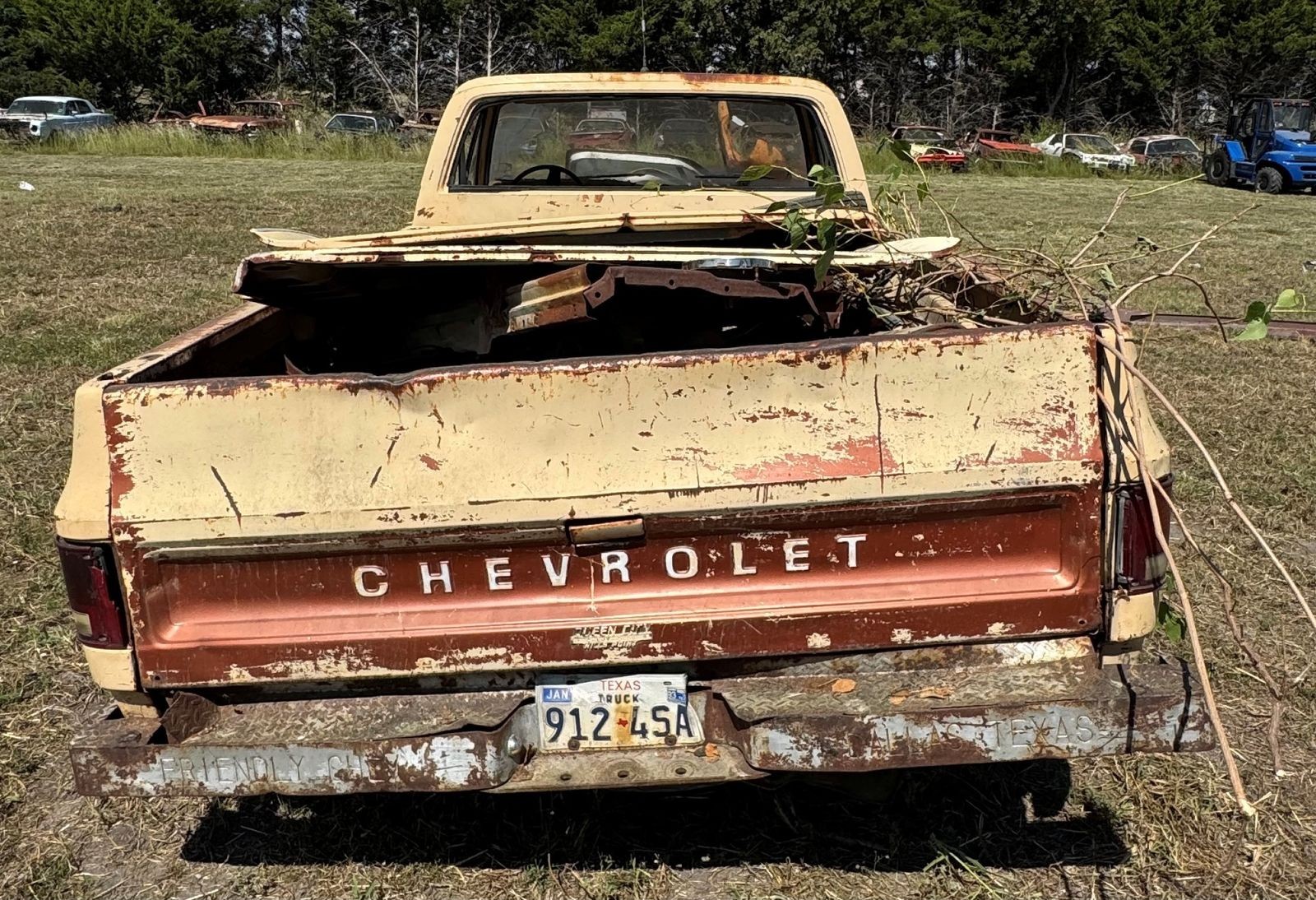 Chevrolet-Other-Pickups-1978-5