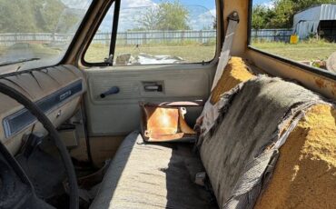 Chevrolet-Other-Pickups-1978-7