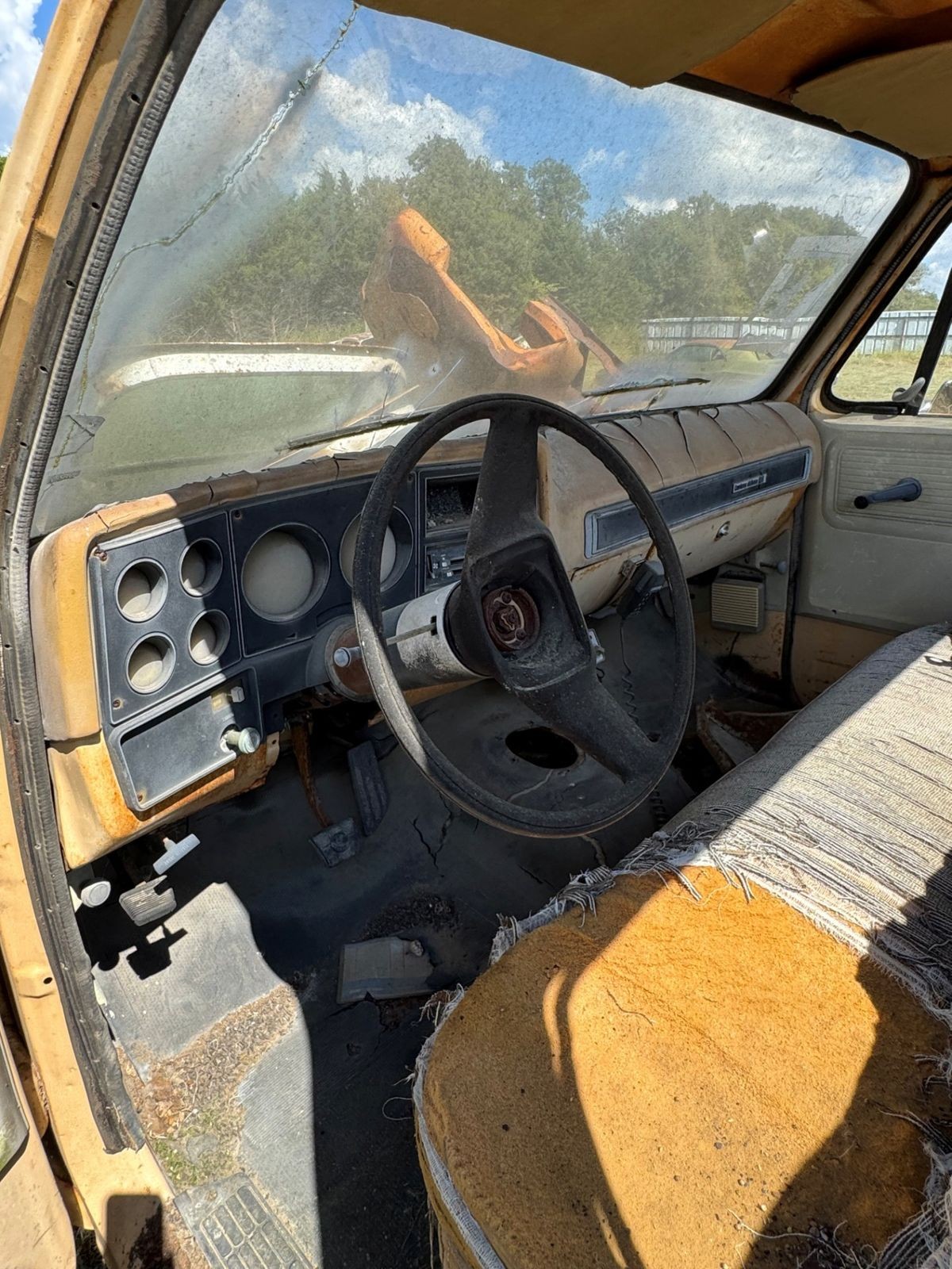 Chevrolet-Other-Pickups-1978-8
