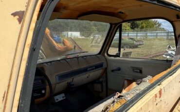 Chevrolet-Other-Pickups-1978-9