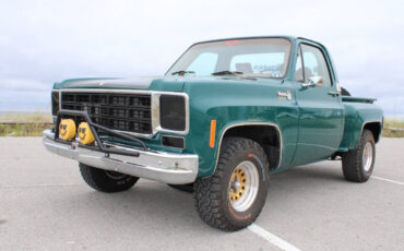 Chevrolet-Other-Pickups-1978-Pickup-Truck-1