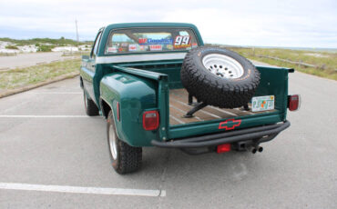Chevrolet-Other-Pickups-1978-Pickup-Truck-10