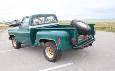 Chevrolet-Other-Pickups-1978-Pickup-Truck-11