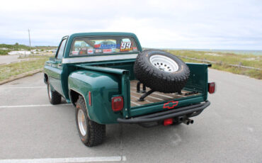 Chevrolet-Other-Pickups-1978-Pickup-Truck-12