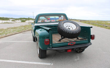 Chevrolet-Other-Pickups-1978-Pickup-Truck-13