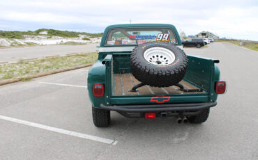 Chevrolet-Other-Pickups-1978-Pickup-Truck-14