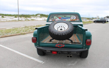 Chevrolet-Other-Pickups-1978-Pickup-Truck-15