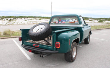 Chevrolet-Other-Pickups-1978-Pickup-Truck-16