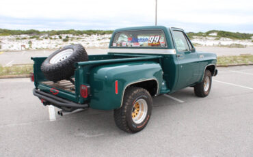 Chevrolet-Other-Pickups-1978-Pickup-Truck-17
