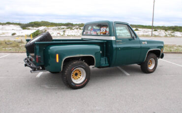 Chevrolet-Other-Pickups-1978-Pickup-Truck-18