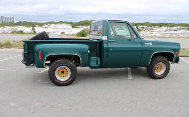 Chevrolet-Other-Pickups-1978-Pickup-Truck-19