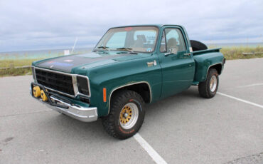 Chevrolet-Other-Pickups-1978-Pickup-Truck-2