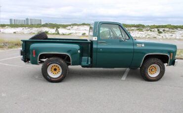 Chevrolet-Other-Pickups-1978-Pickup-Truck-20