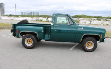 Chevrolet-Other-Pickups-1978-Pickup-Truck-21