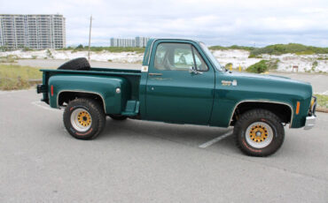 Chevrolet-Other-Pickups-1978-Pickup-Truck-22