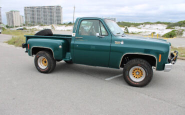 Chevrolet-Other-Pickups-1978-Pickup-Truck-23
