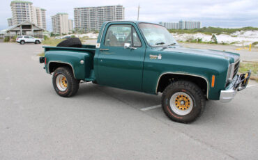 Chevrolet-Other-Pickups-1978-Pickup-Truck-24