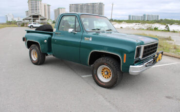 Chevrolet-Other-Pickups-1978-Pickup-Truck-25
