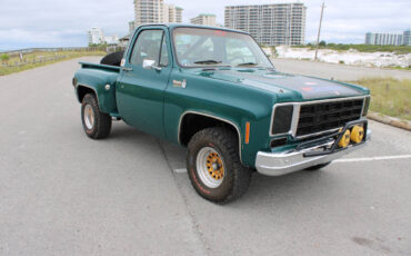 Chevrolet-Other-Pickups-1978-Pickup-Truck-26