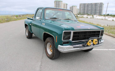 Chevrolet-Other-Pickups-1978-Pickup-Truck-27