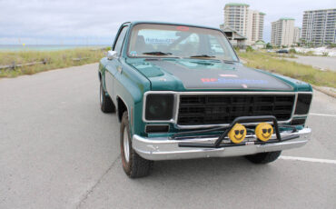 Chevrolet-Other-Pickups-1978-Pickup-Truck-28