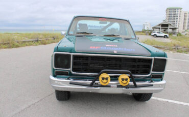 Chevrolet-Other-Pickups-1978-Pickup-Truck-29