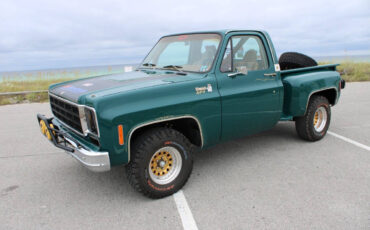 Chevrolet-Other-Pickups-1978-Pickup-Truck-3