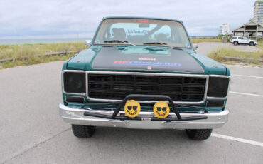 Chevrolet-Other-Pickups-1978-Pickup-Truck-30